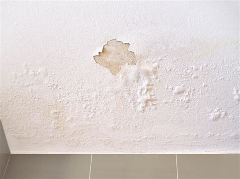 water damaged drywall|How to Repair Water